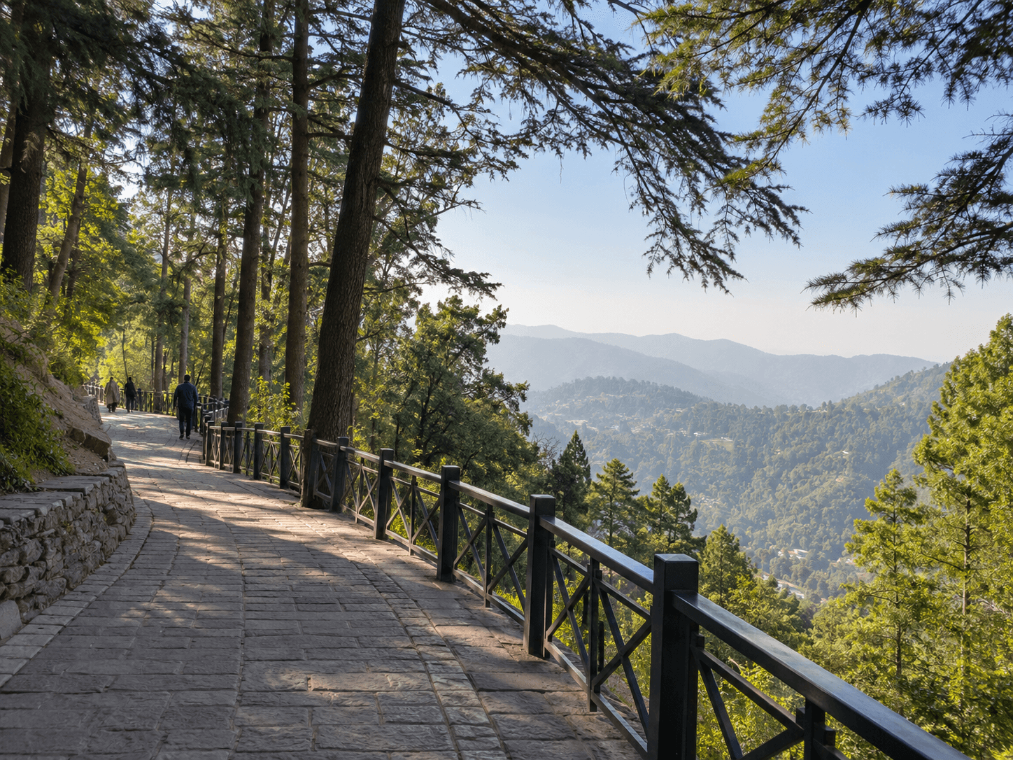 The Overlook