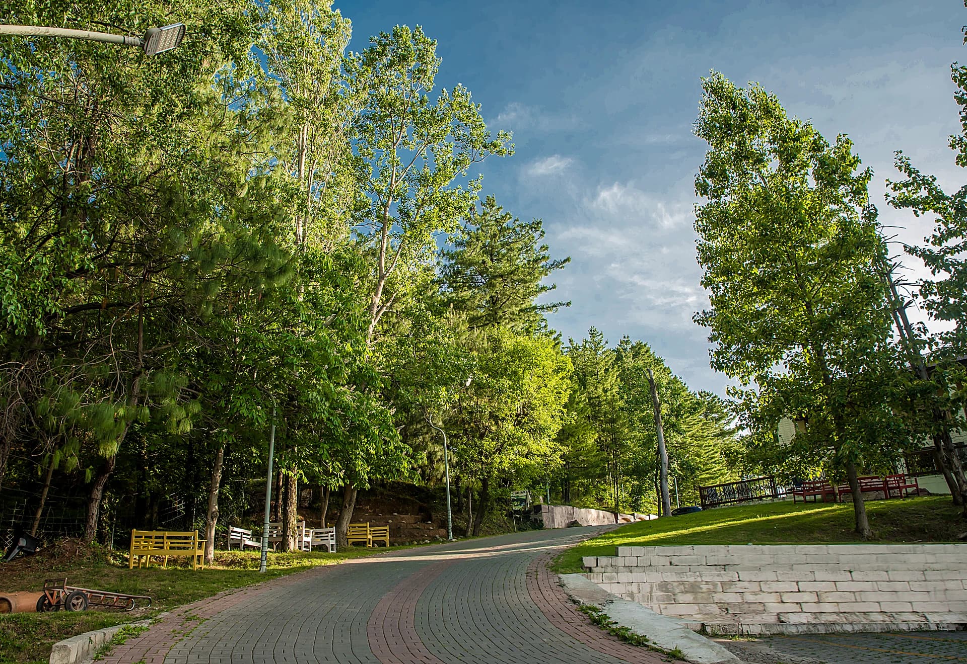Woodland Path