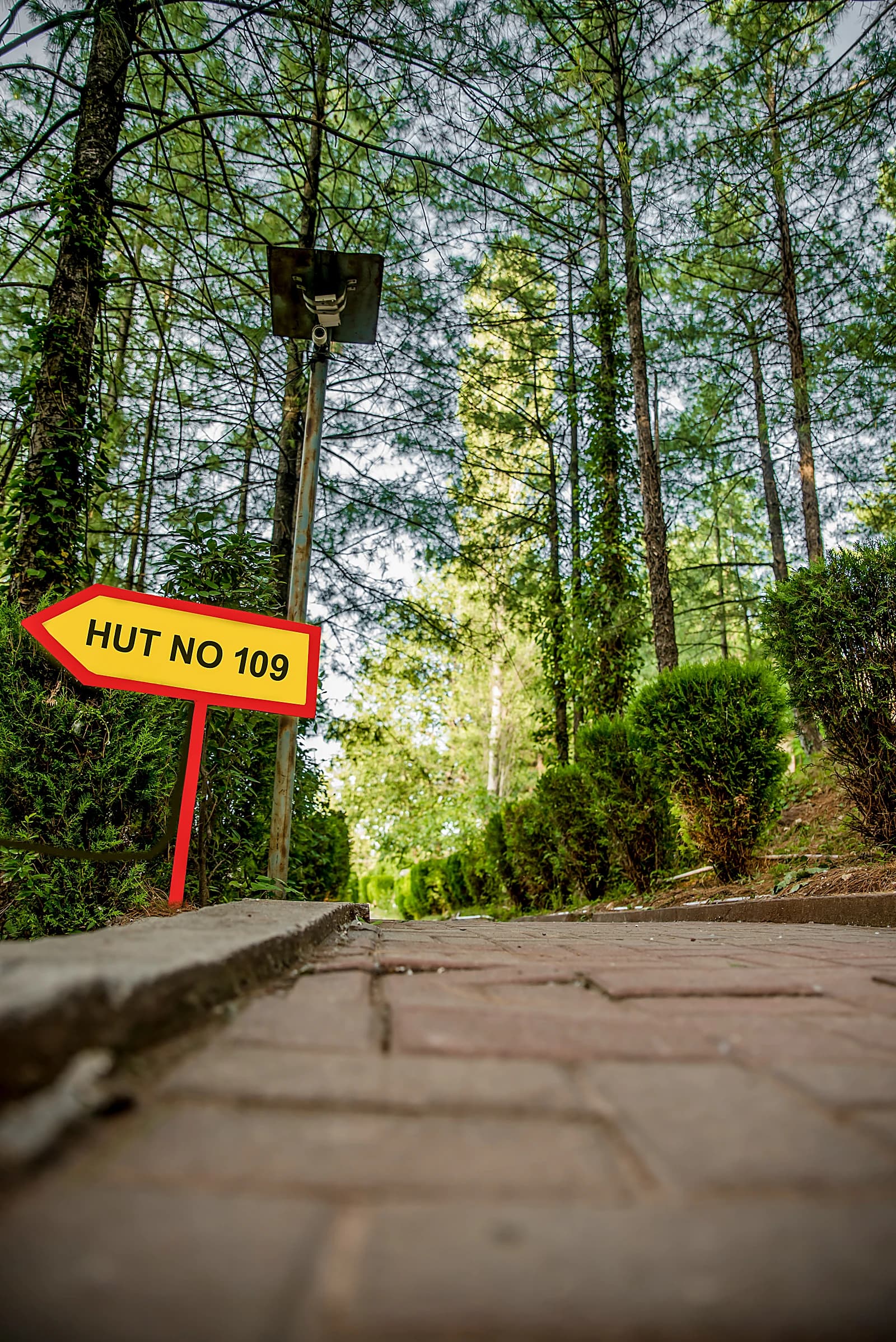 Wayfinding