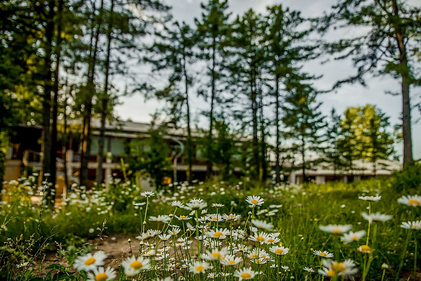 The landscape at Chinar Resort, Bhurban